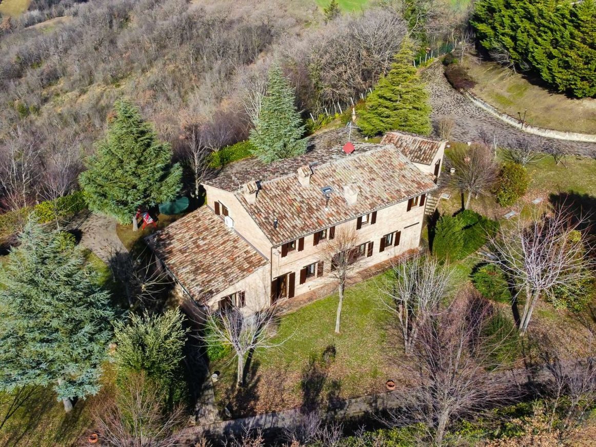 Il bosco privato